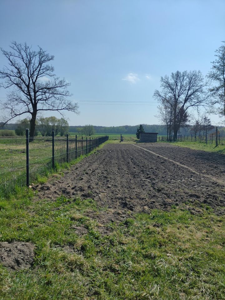 Działka rolna Trzebórz. Zdjęcie 14