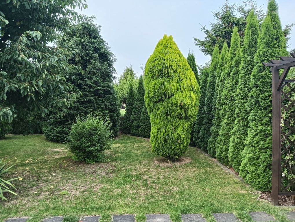 Działka rod Kalisz, ul. Polna. Zdjęcie 4