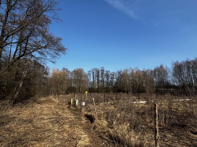 Działka budowlana Rąbień AB Rąbień A. Zdjęcie 7