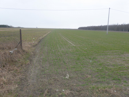Działka rolno-budowlana Skroniów, Skroniów 133
