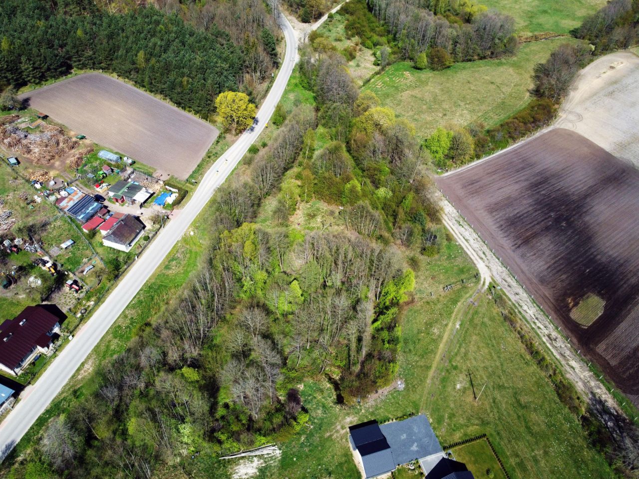 Działka rolna Dargiń. Zdjęcie 9