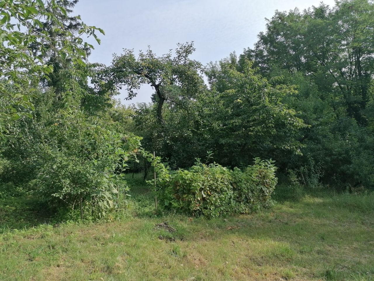 dom wolnostojący Świebodzin. Zdjęcie 2