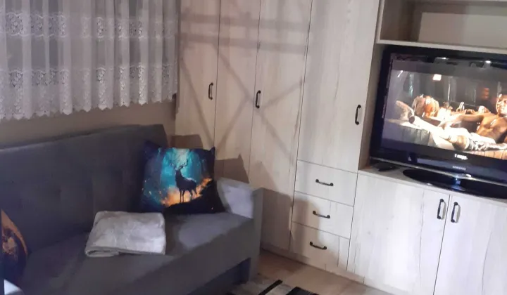 Działka rod Stęszew