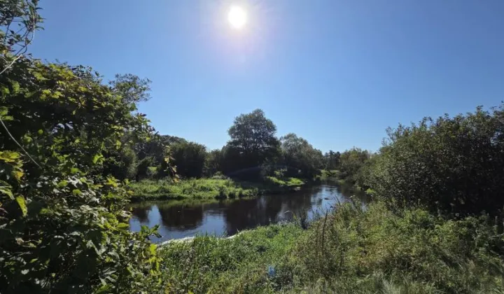 Działka rekreacyjna Dziektarzewo