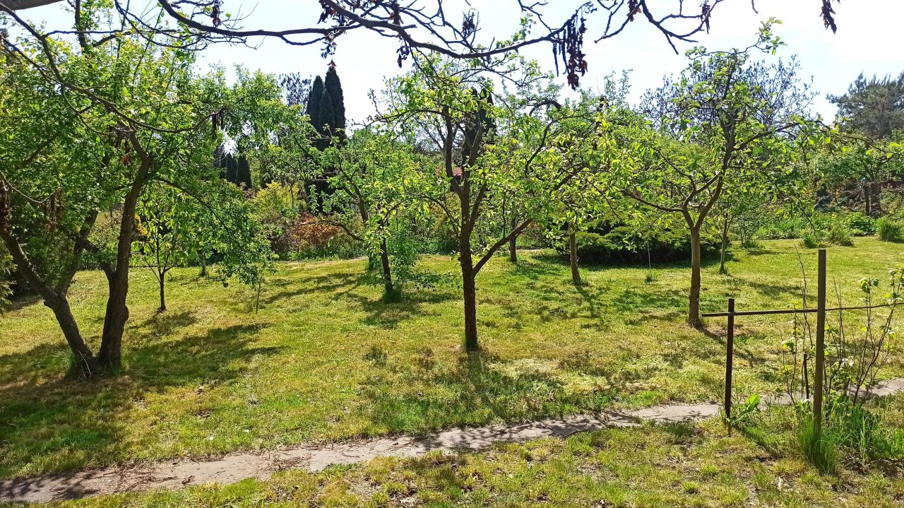 Działka rod Wrocław Księże Małe, ul. Zabrzańska. Zdjęcie 5