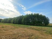 Działka rolna Huta. Zdjęcie 1