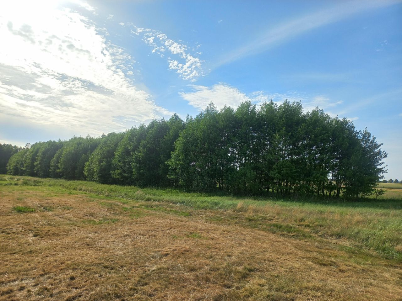 Działka rolna Huta. Zdjęcie 2