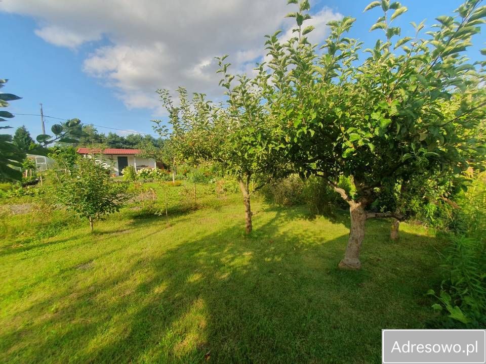 Działka rod Pruszcz Gdański. Zdjęcie 6