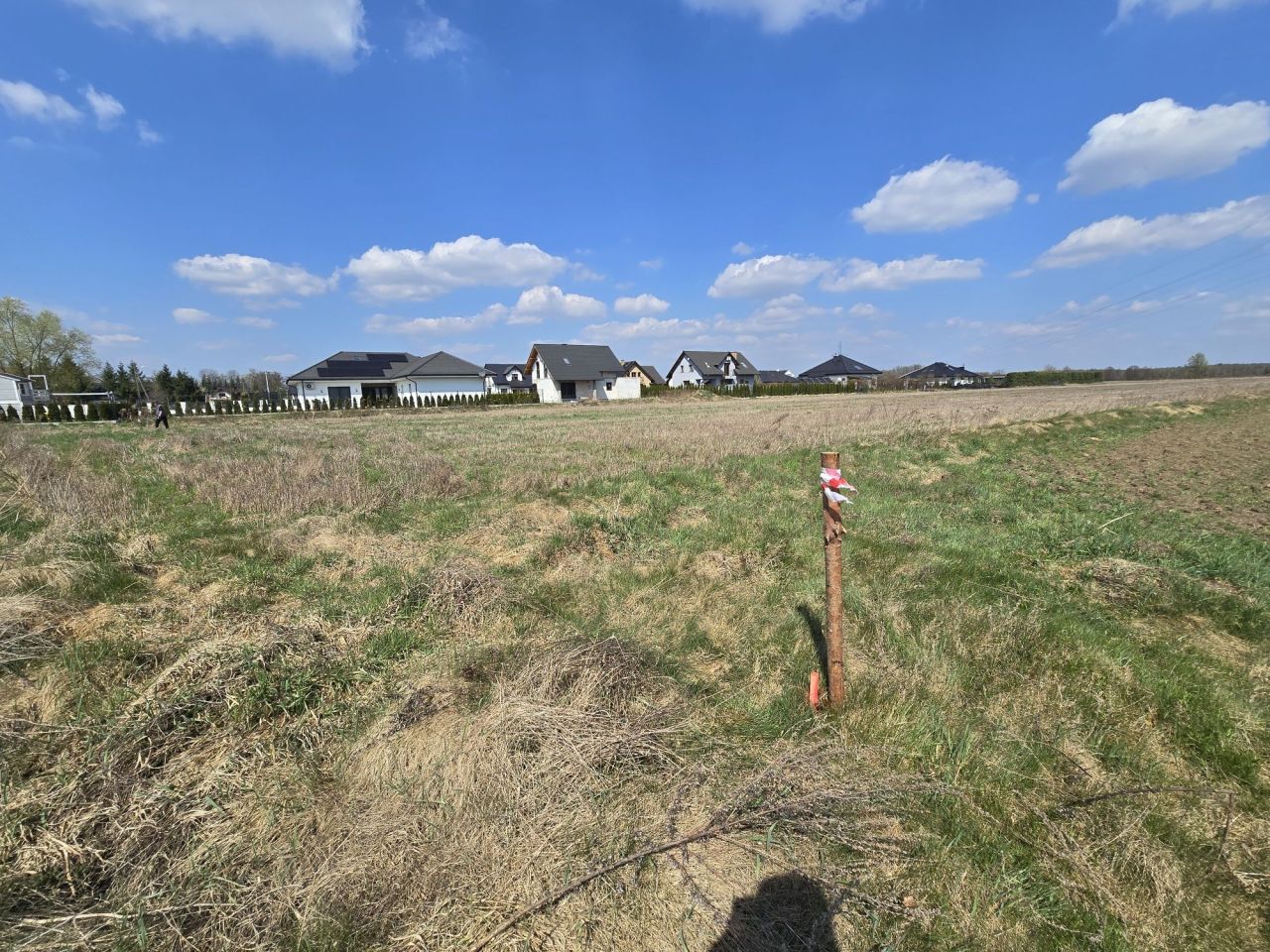 Działka budowlana Jędrzychów. Zdjęcie 2