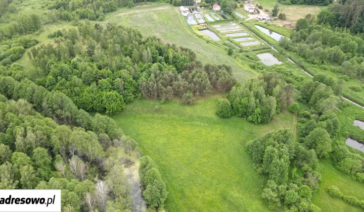 Działka rolno-budowlana Rychnowska Wola