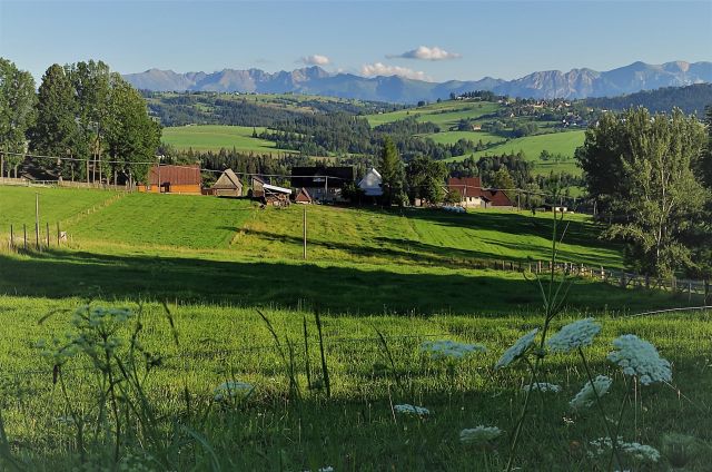 Działka budowlana Maruszyna Stopki, ul. Stopki. Zdjęcie 1