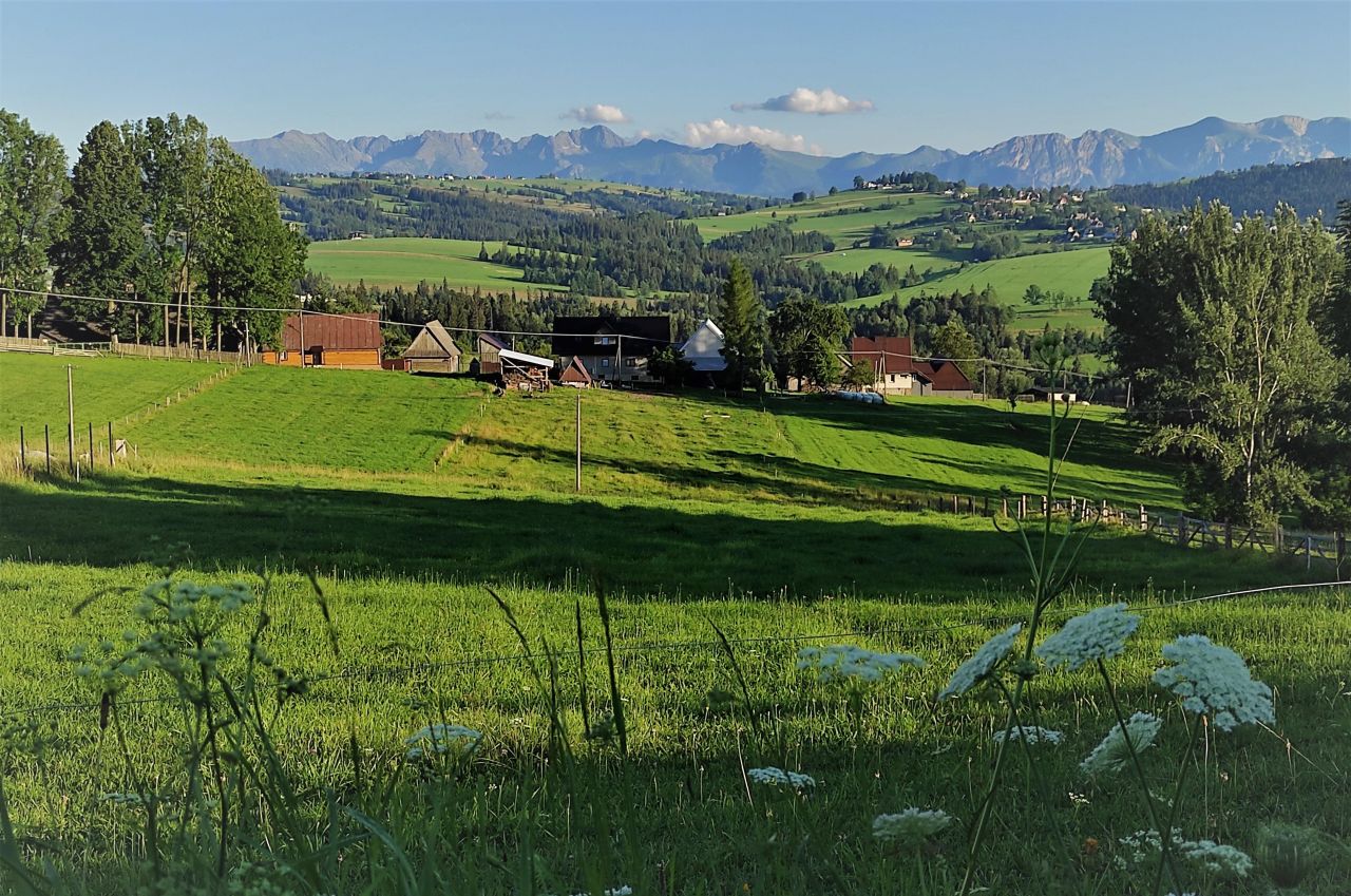 Działka budowlana Maruszyna Stopki, ul. Stopki. Zdjęcie 1