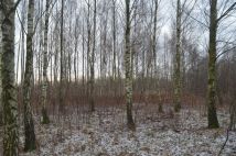 Działka rolno-budowlana Gawartowa Wola. Zdjęcie 2