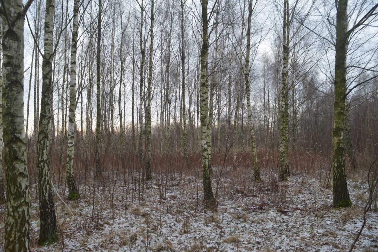 Działka rolno-budowlana Gawartowa Wola. Zdjęcie 3