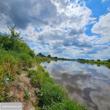 Działka rolna Brzuza. Zdjęcie 4