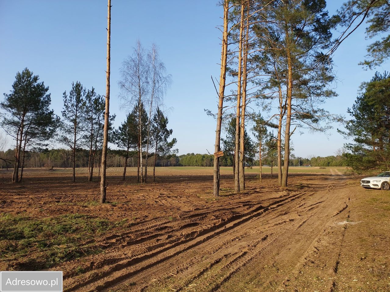 Działka rekreacyjna Rogóźno. Zdjęcie 10