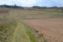 Działka budowlana Połęczyno. Zdjęcie 1