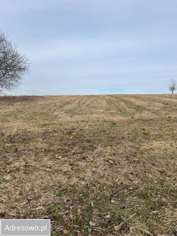 Działka rolno-budowlana Zagórowa. Zdjęcie 1