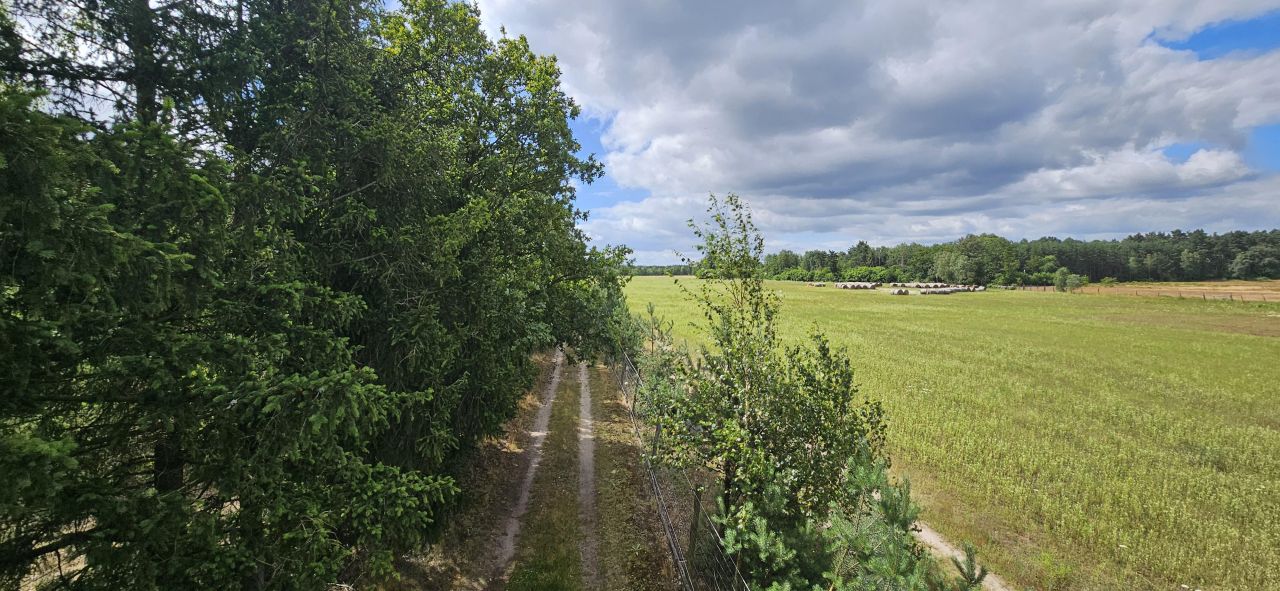 Działka rolno-budowlana Łozy. Zdjęcie 4