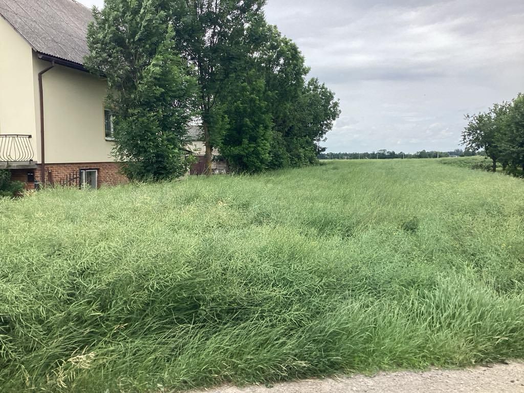 Działka rolno-budowlana Kierz. Zdjęcie 3