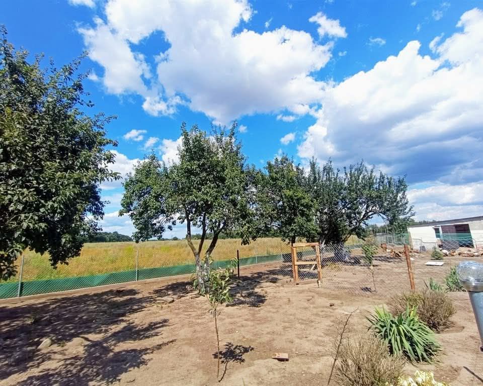 dom wolnostojący, 3 pokoje Radzanek. Zdjęcie 14