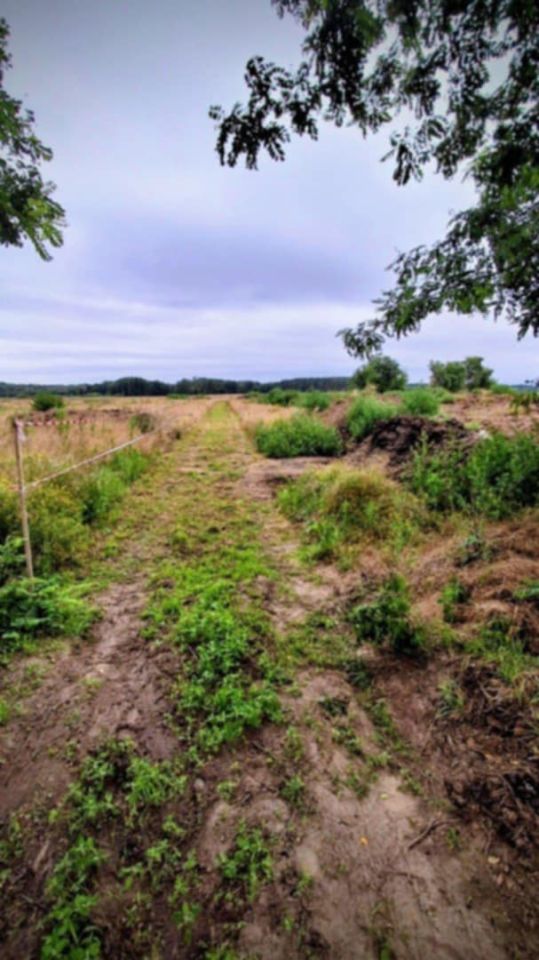 Działka rolna Jedlice Brzostowo. Zdjęcie 4