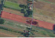 Działka rolna Żelechlin. Zdjęcie 4