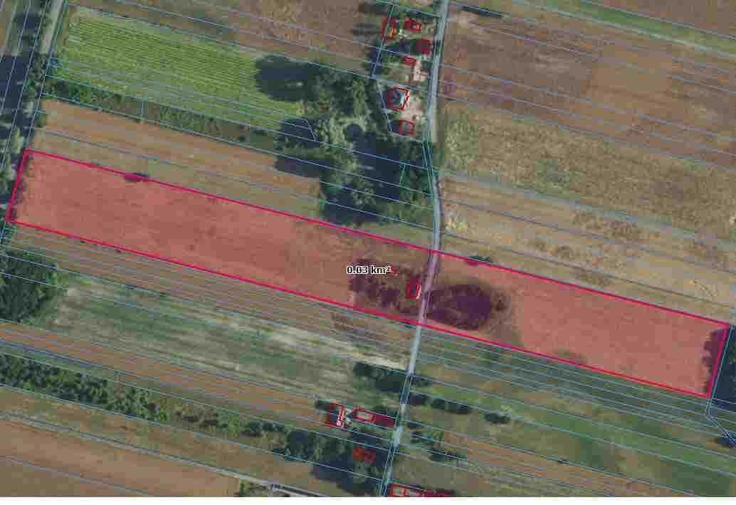 Działka rolna Żelechlin. Zdjęcie 5