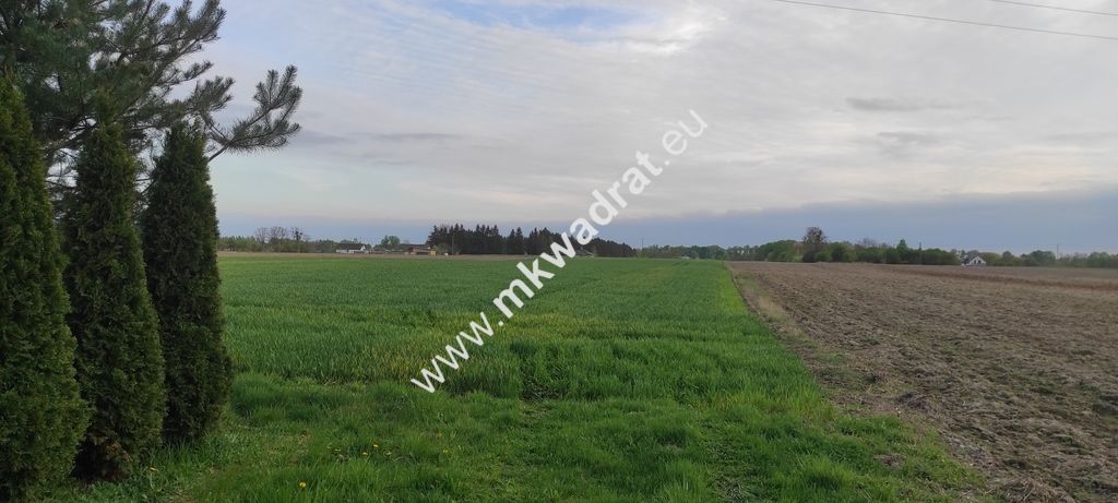 Działka budowlana Pasikonie. Zdjęcie 2