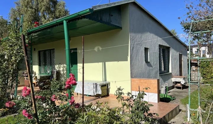 Działka rod Łódź Widzew, ul. Olkuska