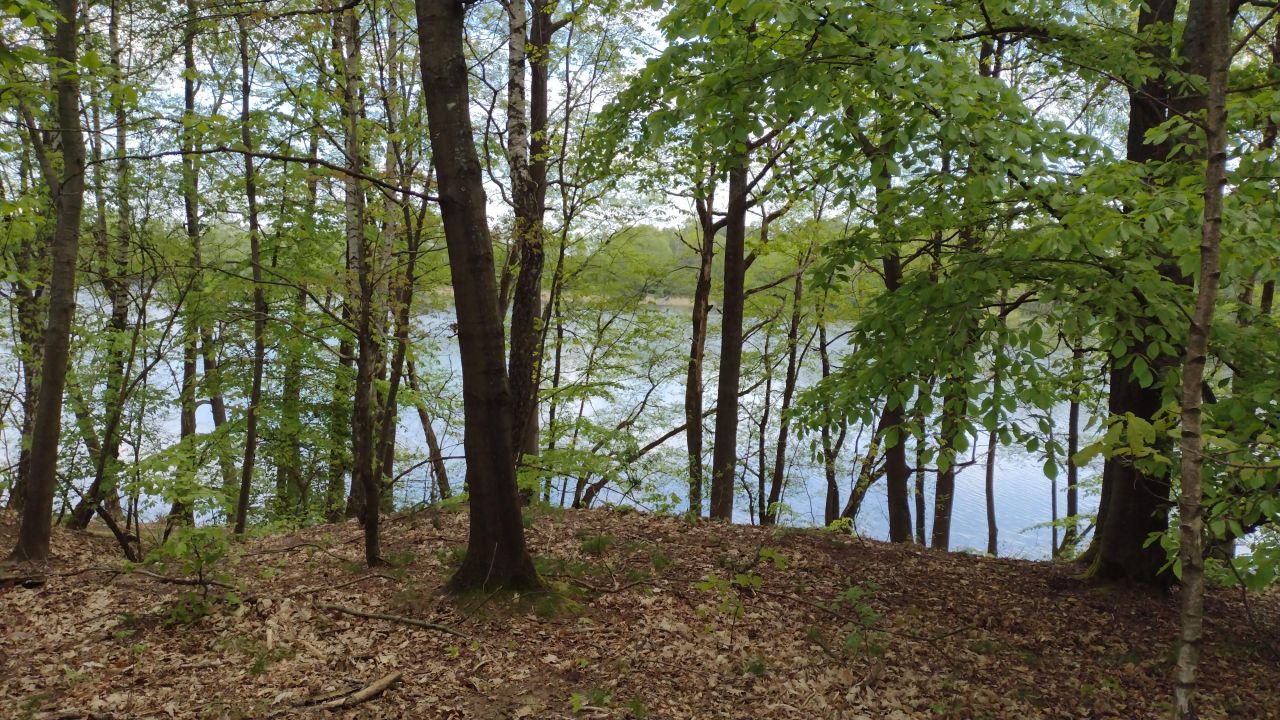 Działka rekreacyjna Jeleń. Zdjęcie 10