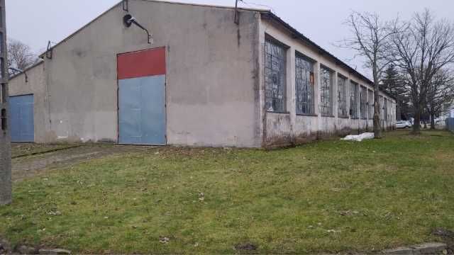 Hala/magazyn Daszyna. Zdjęcie 4