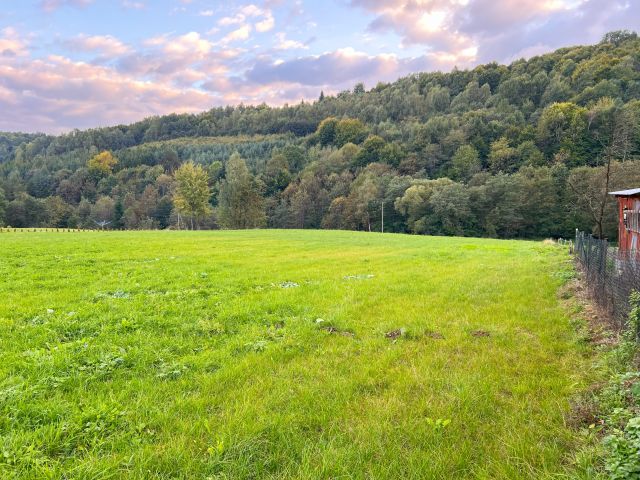 Działka budowlana Wujskie. Zdjęcie 1