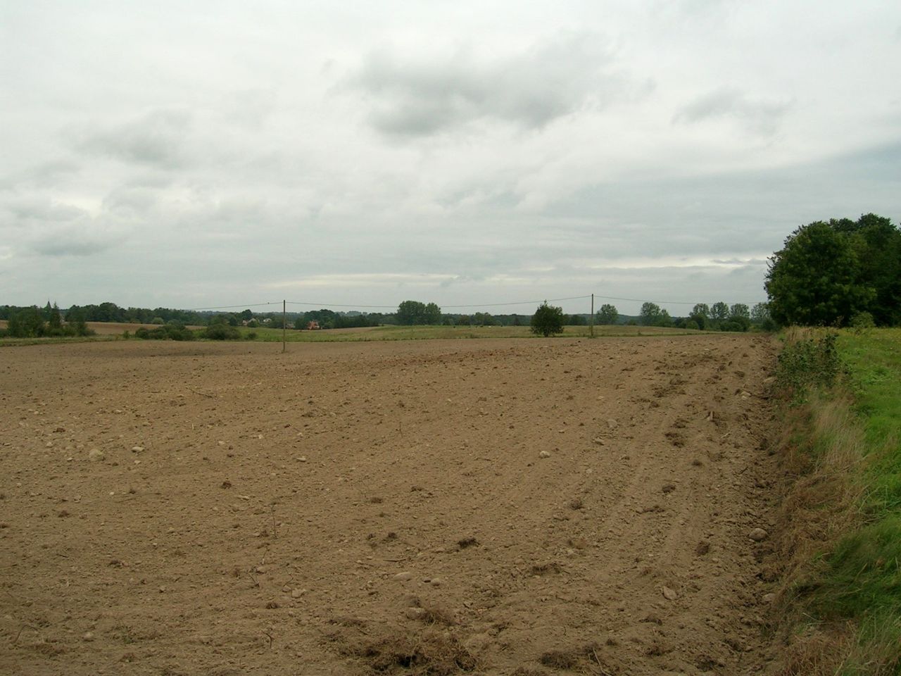 Działka rolna Strużyna. Zdjęcie 13