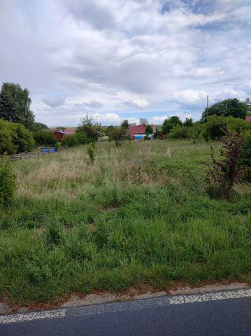 Działka rolno-budowlana Tarnówek. Zdjęcie 1