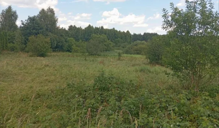 Działka rekreacyjna Bondyrz Wygon
