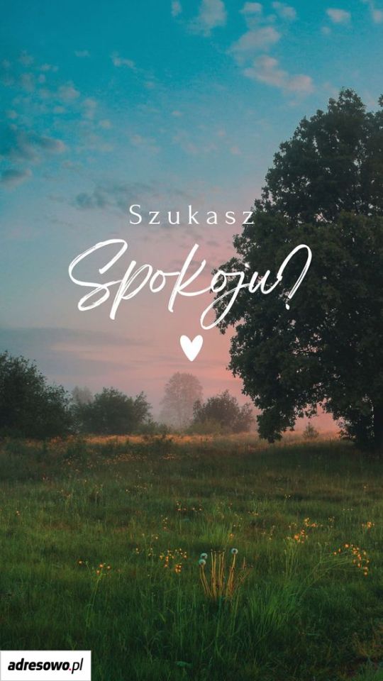 Działka budowlana Wólka. Zdjęcie 8