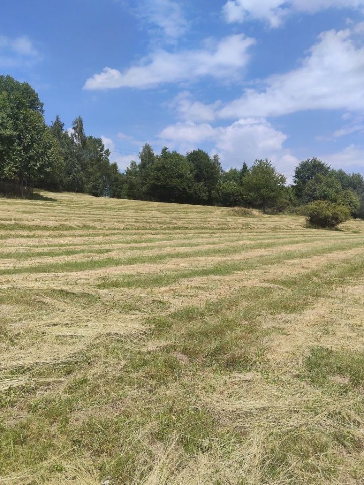 Działka rolna Rycerka Górna. Zdjęcie 3