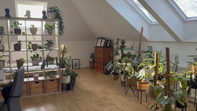 dom wolnostojący, 7 pokoi Brzezina, ul. Brzozowa. Zdjęcie 18