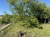 Działka rod Międzychód. Zdjęcie 3