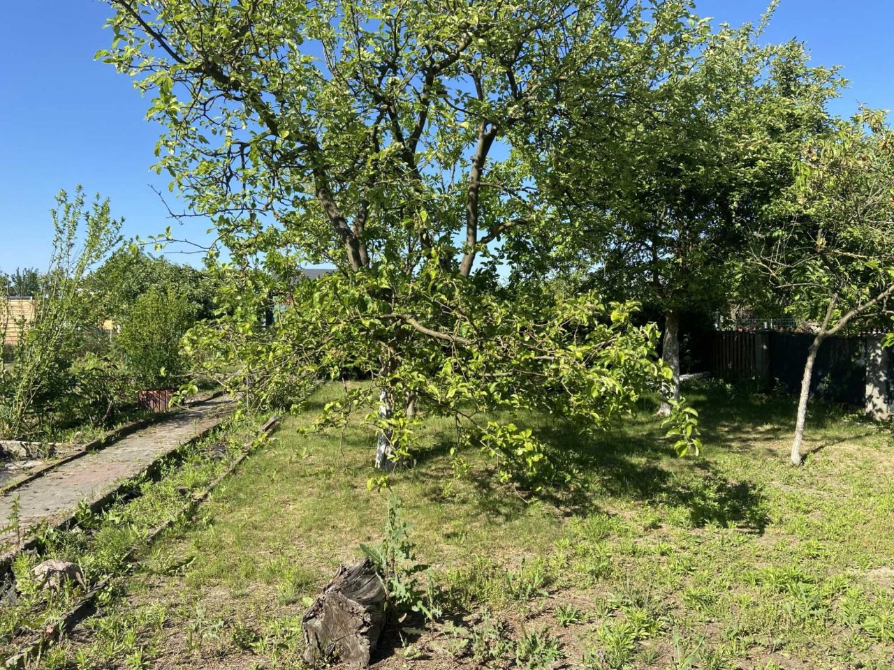 Działka rod Międzychód. Zdjęcie 4