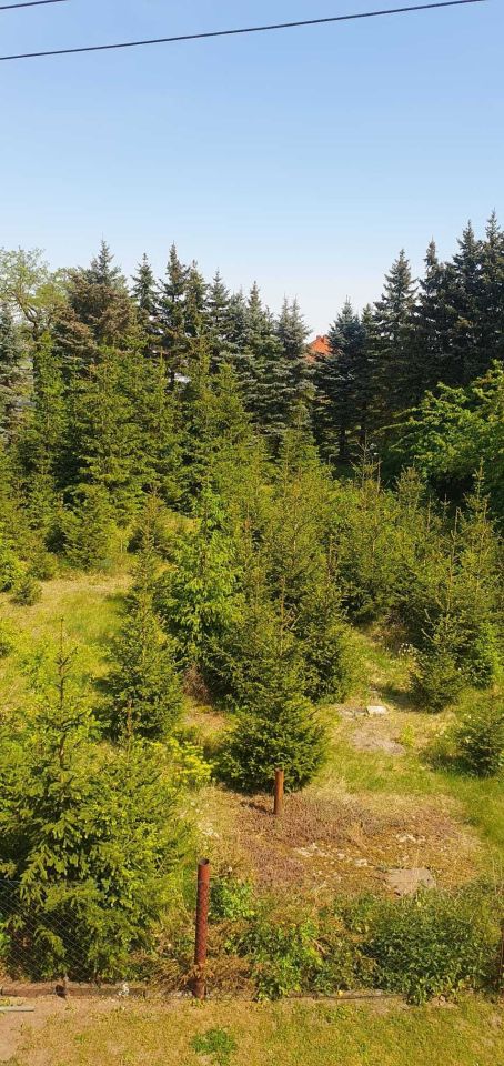 dom wolnostojący Nowa Wieś. Zdjęcie 3