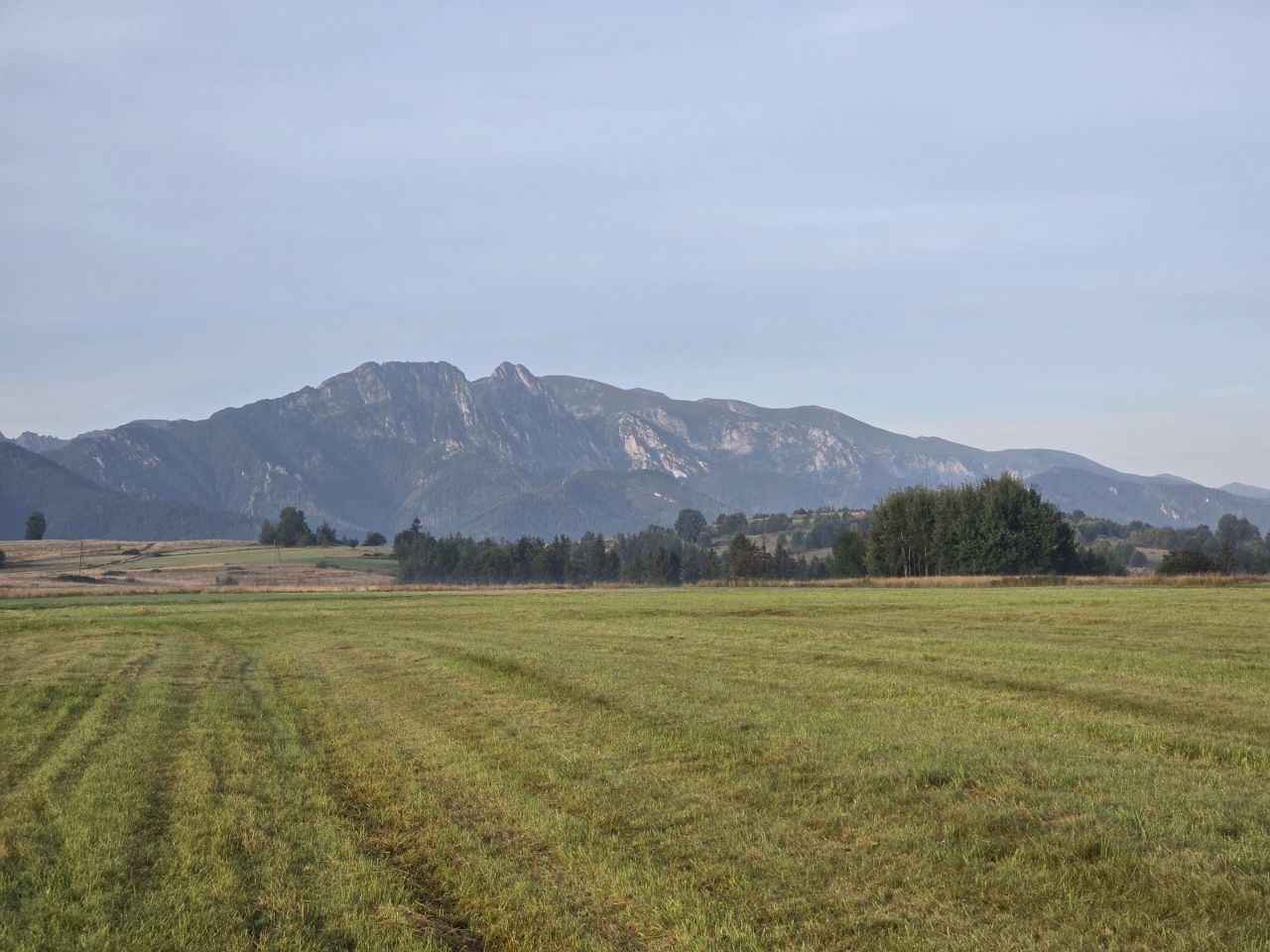 Działka rolna Zakopane Bachledzki Wierch, ul. Wojdyły