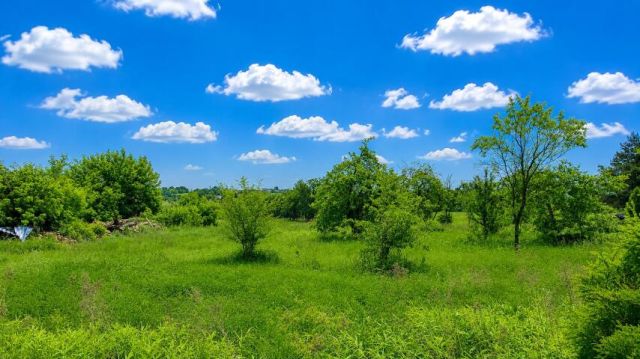 Działka budowlana Siemianowice Śląskie Przełajka, ul. Wiejska. Zdjęcie 7