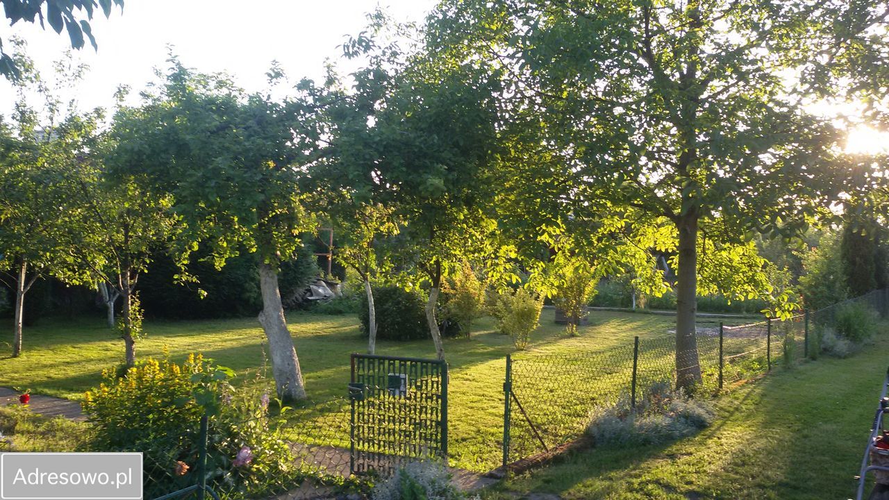 Działka rod Oława, ul. Wiejska