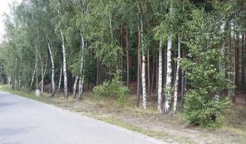 Działka leśna Jarużyn