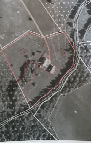 dom wolnostojący, 10 pokoi Zięby. Zdjęcie 1