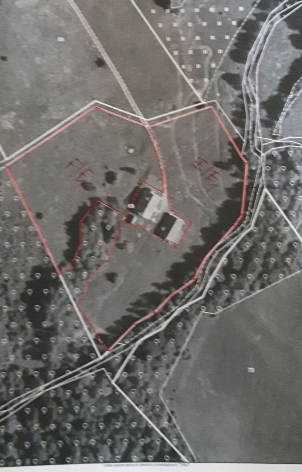 dom wolnostojący, 10 pokoi Zięby. Zdjęcie 1