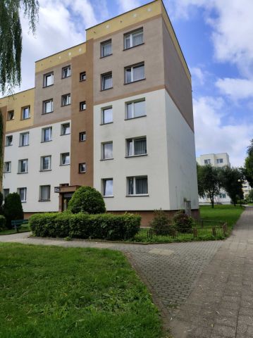 Mieszkanie 3-pokojowe Malbork, ul. Józefa Wybickiego. Zdjęcie 1