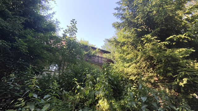 Działka rolno-budowlana Cieplice. Zdjęcie 4